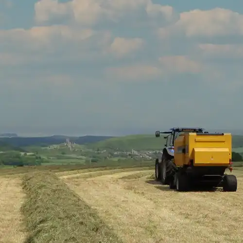 Farm Image